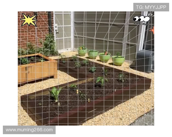 探索新花园国际:打造理想生活的绿色空间